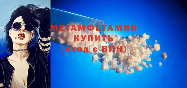 прущие грибы Пересвет