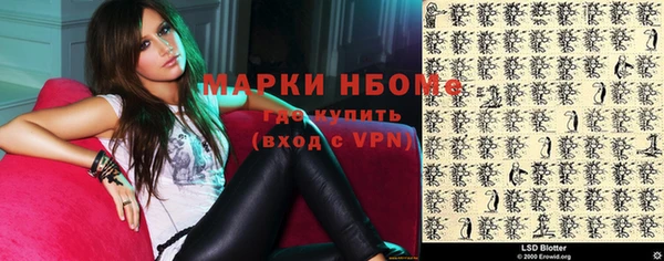 шишки Переславль-Залесский
