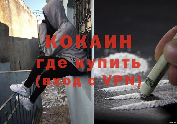 шишки Переславль-Залесский