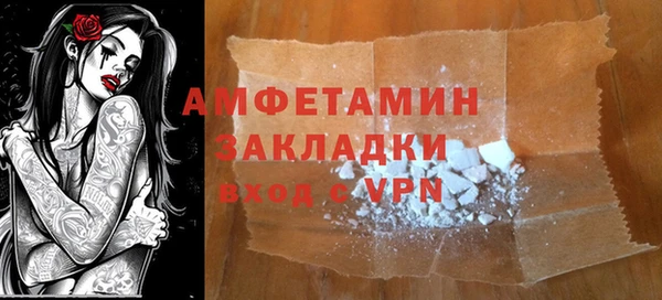 прущие грибы Пересвет