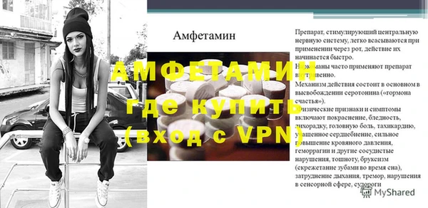 прущие грибы Пересвет