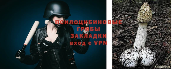 прущие грибы Пересвет